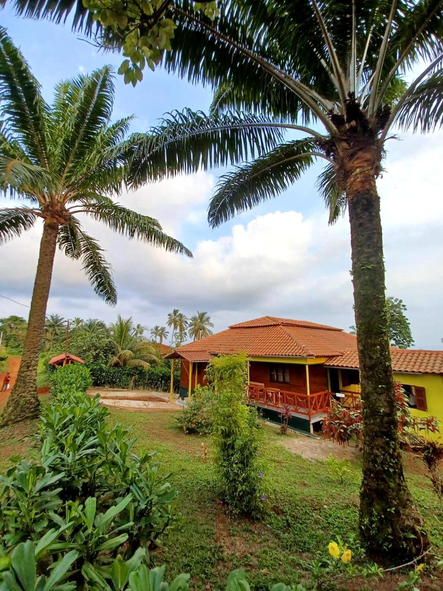Pousadinha Mar Ave Ilha Principe Exterior photo
